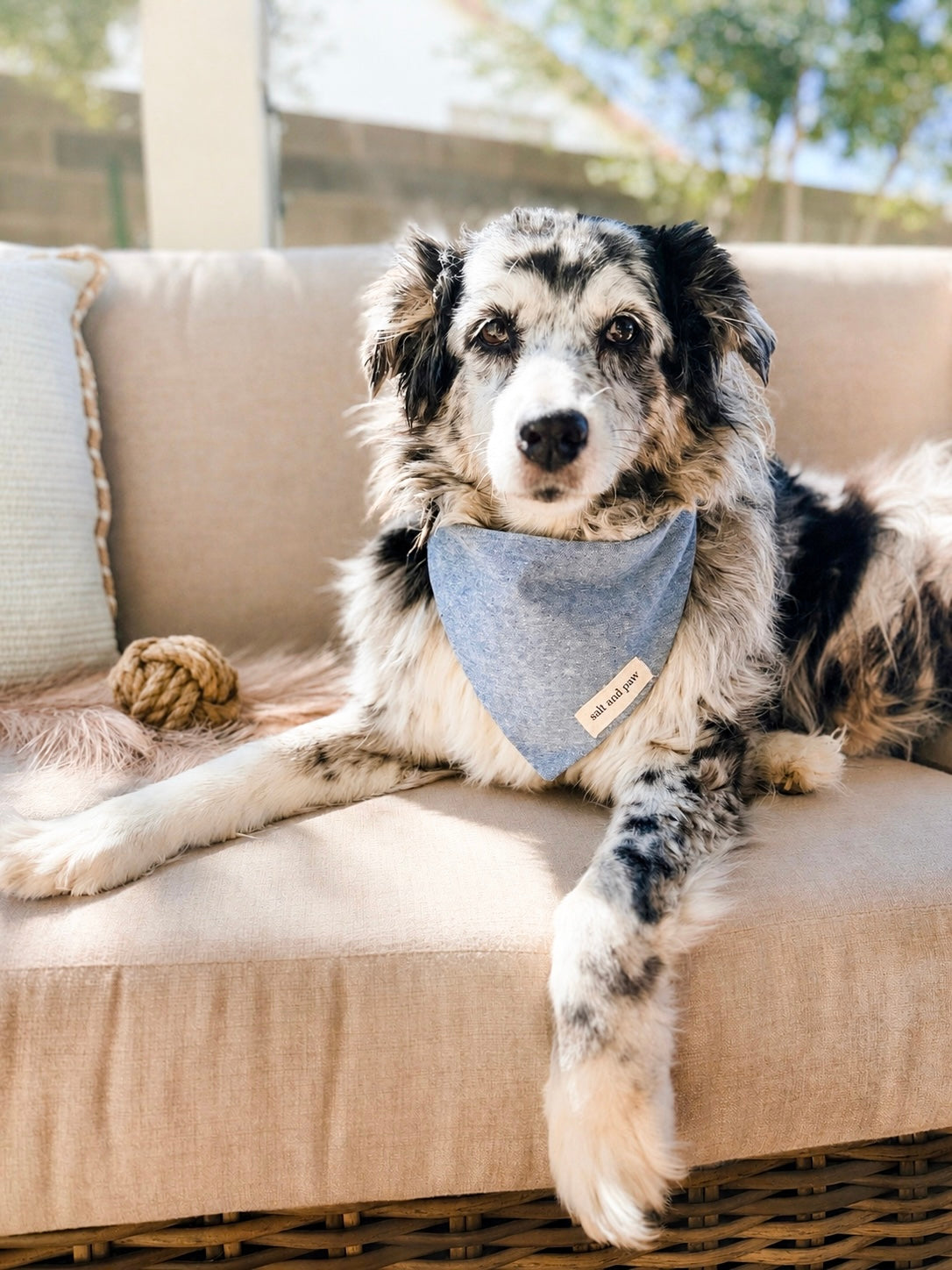 Cape Blue Bandana