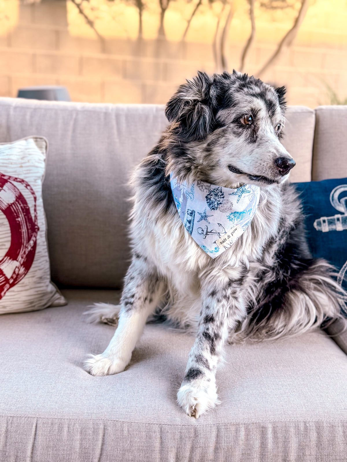 Beacon Bandana