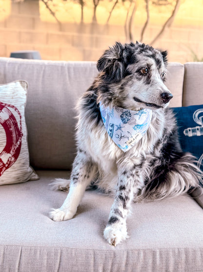 Beacon Bandana